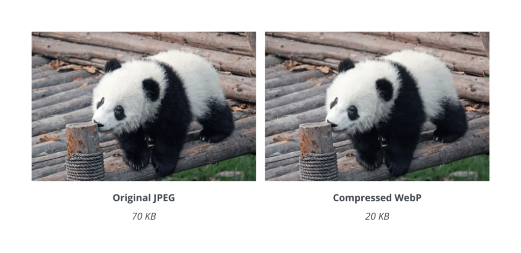Image converter example - JPEG vs. compressed WebP