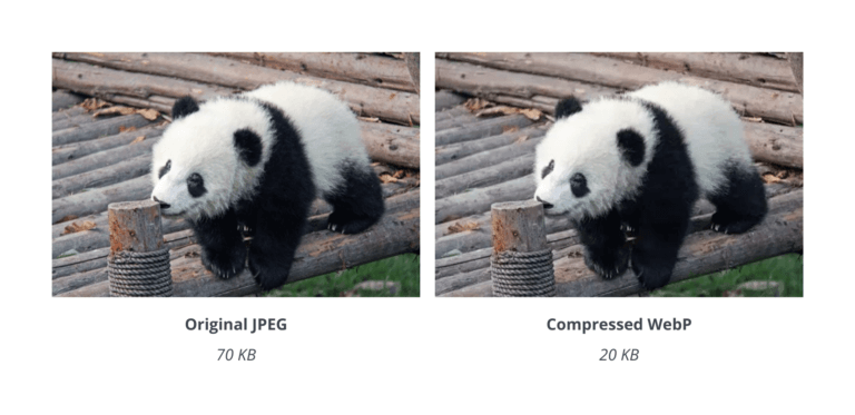 Comparison of panda image before and after compressing images, converted from JPEG to WebP for smaller file size and faster loading