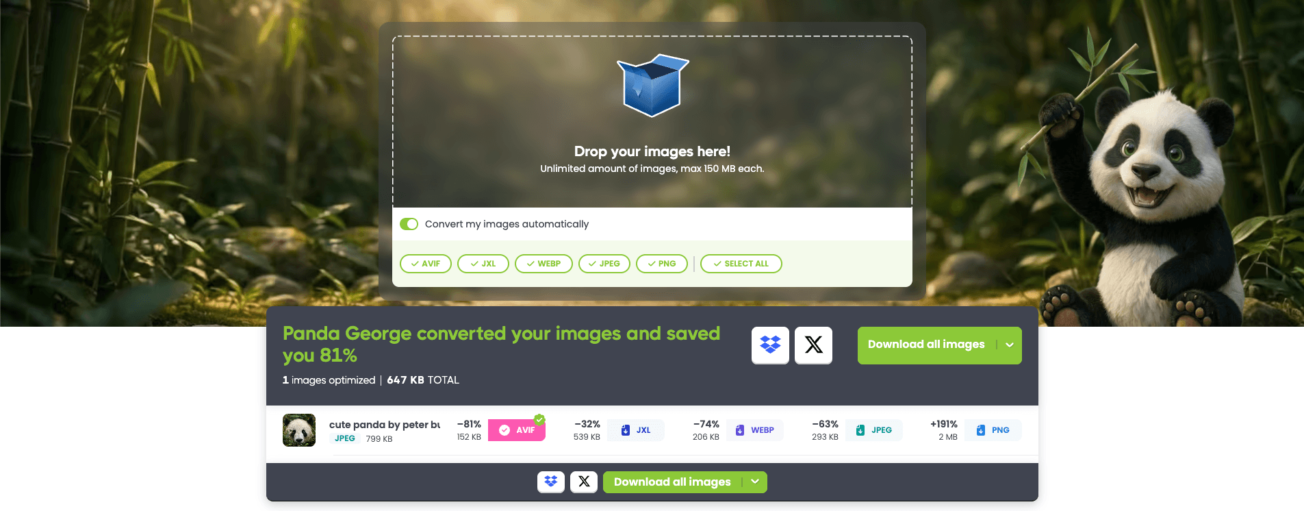 Panda George saves 81% on your image with Tinify’s smart lossy compression technique.